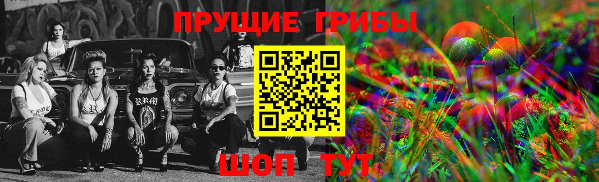 Великие Луки  Галлюциногенные грибы Psilocybe  Вход с VPN 