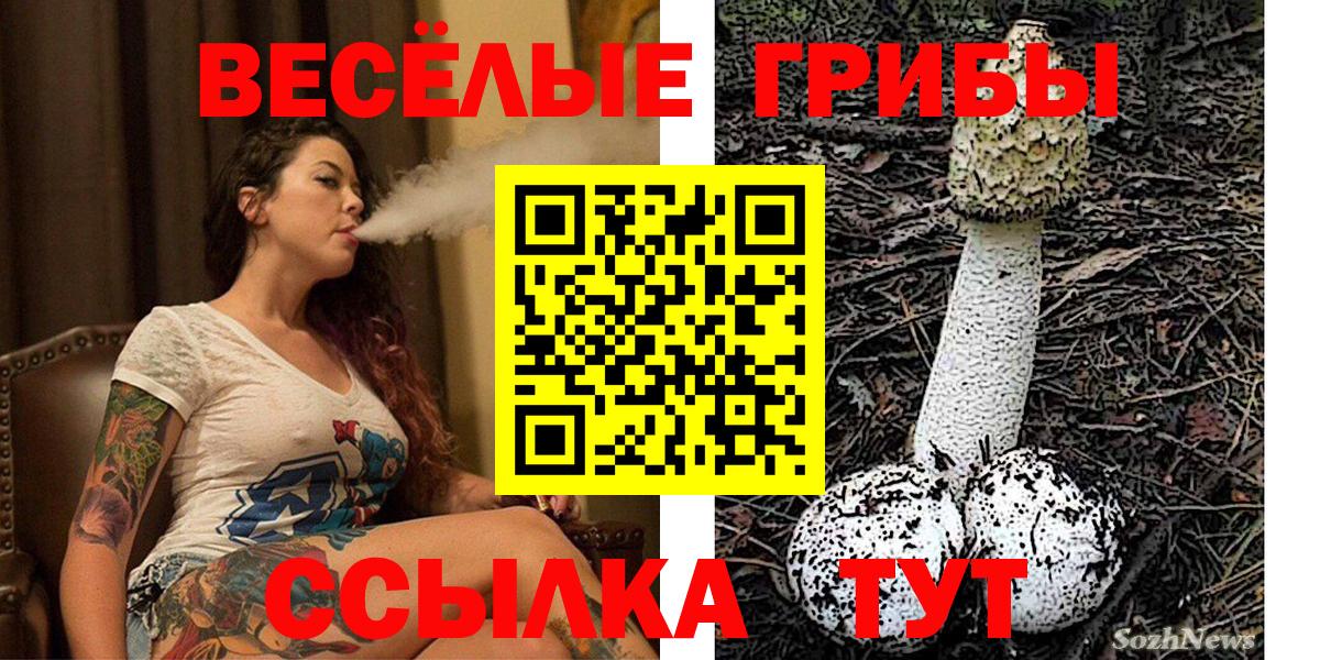 Галлюциногенные грибы ЛСД Великие Луки